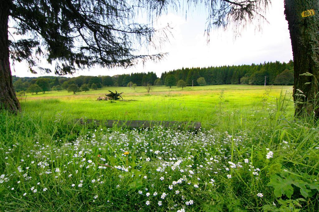Penzion Muflon Bela nad Radbuzou ภายนอก รูปภาพ